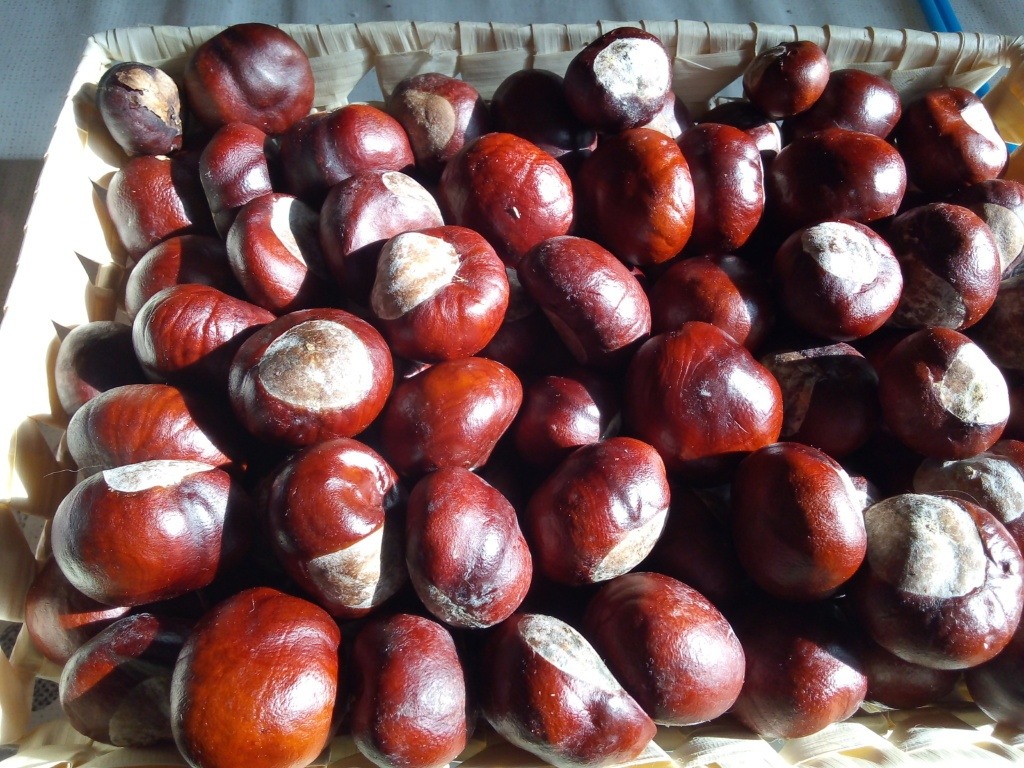 Co Zuzanna lubi jesienią?